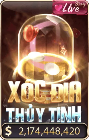 Xóc đĩa thủy tinh Sunwin